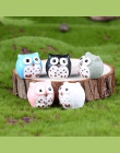5 sztuk sowy miniaturowe Mini żywiczne Bonsai domu ogród mikro krajobraz soczyste doniczki Craft Fairy wystrój