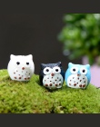 5 sztuk sowy miniaturowe Mini żywiczne Bonsai domu ogród mikro krajobraz soczyste doniczki Craft Fairy wystrój