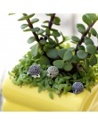 BESTOYARD 10 sztuk miniaturowy jeż krajobraz ogród dekoracji ozdoby bajki ogród rzemiosło żywicy ozdoby