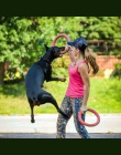2019 pies latające dyski dla zwierząt domowych pierścień interaktywne szkolenia zabawka dla psa przenośny na zewnątrz duże zabaw