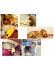 Nowy 17 CM zabawki dla psów żółty piszczący gumowy kurczak Pet Squeak piszczałka prezent darmowa wysyłka