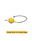 Amfibia zabawki dla psów piłka z liny/latające dyski/zabawki do żucia pierścień EVA zabawki dla zwierząt domowych dla psów inter