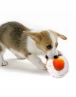 Dla zwierząt domowych zabawka dla psa pluszowe płótnie gryźć zabawki kocimiętka dla psów powołują się na wokal kreatywny symulac