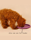 1 Pc interaktywne zabawki dla psa odporność na Bite miękkie gumowe Puppy zabawki dla zwierząt domowych dla psów produkty do szko