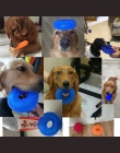 S/XL pisk do żucia zabawki dla zwierząt dla Golden Retriever dużych psów szkolenia śmieszne do żucia cierń koło pierścień dla ma