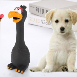 Zabawki dla psów szczeniak piszczący gumowy kurczak zabawka dla psów lateks kwiczenie piszczałka szkolenia produktów dla zwierzą