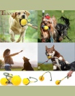 Przeniesienie artykuły dla zwierząt trwałe zabawka dla psa do treningu na świeżym powietrzu Fetch brań interaktywne piłka ze szn