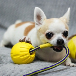 Interaktywne zabawki dla psów szczoteczka do zębów EVA pies piłka z liny 9/6. 4 CM rozmiar zabawki dla zwierząt domowych dla szc