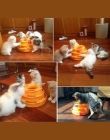 Nowe śmieszne zabawki dla zwierząt kot pies Crazy Ball dysku interaktywnej rozrywki płyta grać płyty Trilaminar gramofon kot dog