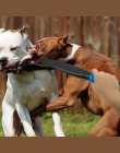 Pies złamać kij K9 do szkolenia psów produktu bez poślizgu zabawka szkoleniowa o przekazanie dalszych danych i dla średnich duży