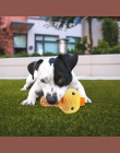 Zabawki dla zwierząt domowych dla psów żuć piszcząca zabawka dla zwierząt domowych pluszowe płótnie gryźć zabawki dla psów powoł