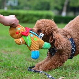 Piękne zabawki dla psa zwierzęta domowe są piszczałka zabawki dźwiękowe dla zwierząt Puppy szkolenia interaktywne zwierzęta plus