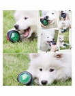 Psa Bouncy zabawki gumowe piłka zgryz odporny na zęby dla zwierząt szlifowanie piłka treningowa z dźwiękiem i wielu kolorów świa