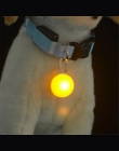 Nowe psy LED miga Glow obroże produkty LED Light Luminous obroża dla zwierząt domowych obroża dla zwierząt domowych dla psów kot