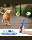 Pies rzucanie rzucania kulą klub dla zwierząt domowych rzucanie zabawka interaktywna zabawka dla psów petshop