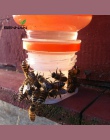 SenNan 2 sztuk automat do wody Bee Queen Bee sprzęt do wody pitnej łatwa instalacja łatwe w obsłudze narzędzia pszczelarskie