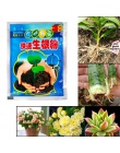 Bonsai roślin szybkiego wzrostu korzenia leczniczych hormon organy regulacyjne uprawy sadzonka odzyskiwania kiełkowania wigor po