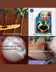 Bonsai roślin szybkiego wzrostu korzenia leczniczych hormon organy regulacyjne uprawy sadzonka odzyskiwania kiełkowania wigor po