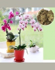 6L mech torfowiec narzędzia ogrodowe mech torfowiec nawilżający odżywianie nawóz organiczny do orchidei Phalaenopsis Musgo torfo