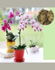 Narzędzia ogrodowe 12L mech torfowiec mech torfowiec odżywianie nawóz organiczny do orchidei Phalaenopsis Musgo torfowiec kwiat