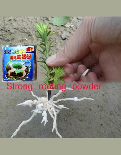 2 sztuk kwiat mocny zakorzenienia w proszku rosnące korzenie sadzonka silne odzyskiwanie korzeń wigor kiełkowanie pomoc nawóz og