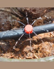 50 sztuk regulowany kroplownik czerwony mikro nawadniania kropelkowego Anti-clogging emiter narzędzia ogrodowe dla 1/4 cal wąż