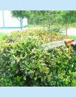 8 wzór ogród pistoletem na wodę do dysza wąż wielofunkcyjne gospodarstwa domowego do mycia samochodu stoczni opryskiwacz wody ru