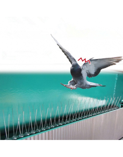 2.5 M plastikowe ptak i gołąb kolce anty ptak Anti gołąb Spike, aby pozbyć się gołębie i przestraszyć ptaki zwalczanie szkodnikó