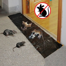 120*28 CM mysz lepkie klejąca pułapka na szczury mysz Glue Board myszy pułapka Catcher nietoksyczna kontrola szkodników odrzucić