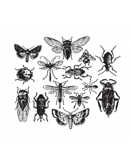Entomologii przezroczysty przezroczysty pieczęć silikonowa/uszczelnienie do DIY scrapbooking/album fotograficzny dekoracyjne jas