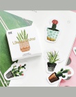 45 sztuk/partia kaktus Mini dekoracja z naklejek papierowych DIY album pamiętnik etykiety Scrapbooking naklejki Kawaii biurowe