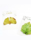1 x nowość różne liści memo pad lepkie karteczki do notowania naklejki kawaii biurowe papelaria biurowe przybory szkolne
