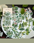 60 sztuka/paczka Vintage brązujący czaszka kwiaty roślin kaktus wykres bajki tropikalnym klimatem naklejki DIY Scrapbooking nakl