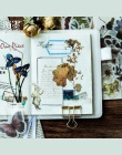 60 arkuszy/opakowanie Mohamm dekoracyjne w stylu Vintage dziennik pamiętnik ze złotą czaszką papieru kwiat roślin naklejki Scrap