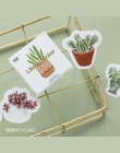 45 sztuk/partia nowy śliczne kaktus Mini dekoracja z naklejek papierowych DIY album pamiętnik etykiety Scrapbooking naklejki Kaw