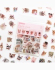 100 sztuk/paczka śliczne tektura naklejka kot dekoracje naklejka album DIY Scrapbooking Seal bullet journal Kawaii biurowe