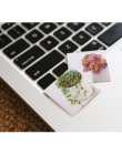 40 sztuk/pudło śliczne soczyste rośliny sukulenty Mini dekoracja z naklejek papierowych Diy album pamiętnik Scrapbooking naklejk