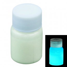 20g na butelkę niebieski-zielony kolor świecąca farba Noctilucent w proszku fluorescencji DIY Party kreatywny blask w ciemnych d