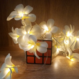 Kreatywny DIY frangipani LED String światła, bateria AA kwiatowy oświetlenie wakacje, wydarzenie dekoracje z girland na przyjęci