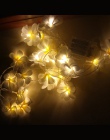 Kreatywny DIY frangipani LED String światła, bateria AA kwiatowy oświetlenie wakacje, wydarzenie dekoracje z girland na przyjęci