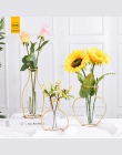 RUX warsztaty Nordic styl wazon dekoracji domu złoty sztuki żelaza drutu wazony suszone kwiaty kwiat ozdoby strona dekoracji dom