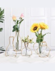 RUX warsztaty Nordic styl wazon dekoracji domu złoty sztuki żelaza drutu wazony suszone kwiaty kwiat ozdoby strona dekoracji dom