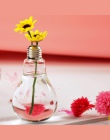 Wystrój domu świecące światło dekoracje ślubne żarówka przezroczyste szkło wazon hydroponicznych kwiat wazon D5