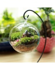 Adeeing kreatywny przejrzysta szklana kulka wazon mikro krajobraz powietrza roślin Terrarium soczyste wiszące doniczki pojemnik