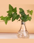 Przezroczyste szklane wazony wazon kształt żarówki hydroponicznych pojemnik Terrarium roślin doniczka wazon dekoracje do domoweg