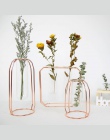 Nordic styl szklana doniczka wazon żelaza różowe złoto wiszące probówki kwiat wazony biuro w domu dekoracji biurko doniczki