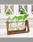 Adeeing kreatywny szklany roślin hydroponicznych pojemnik Terrarium dekoracja biurka z drewniana podstawka kwiat doniczki do dek