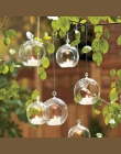 Terrarium Ball Globe kształt jasne szklana wisząca wazon kwiat rośliny Terrarium krajobraz pojemnik DIY ślub zasłony wystrój dom