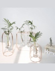 Szklany wazon na kwiaty dla domów luksusowe Nordic stylu żelaza wazon różowe złoto kształt doniczka akcesoria do dekoracji ślubn