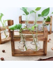 Wystrój domu roślin szklana butelka wazony drewniane ramka wyświetlacza hydroponicznych roślin przezroczysty kwiat garnek drewni